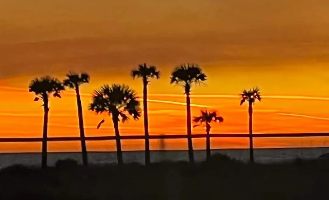 Shores Of Panama 2102 - 1 Bedroombunks Sleeps 4, Free Fun! New To Rentals! Condo Panama City Beach